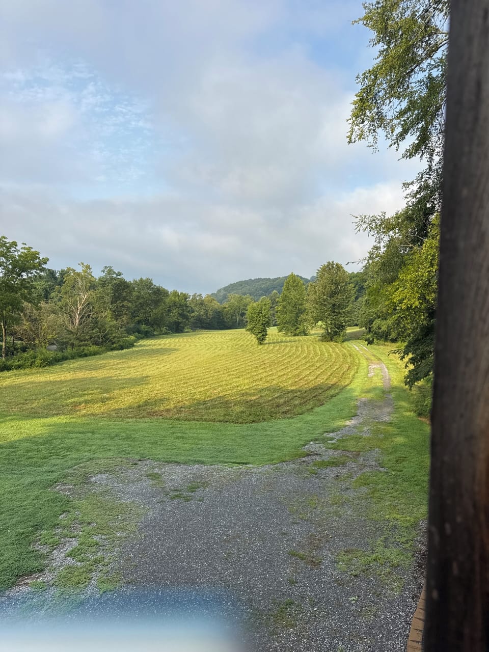 View from property