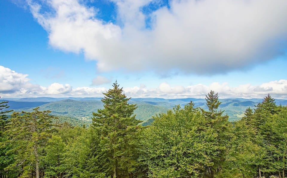 Summit's have a beautiful view of the mountains!