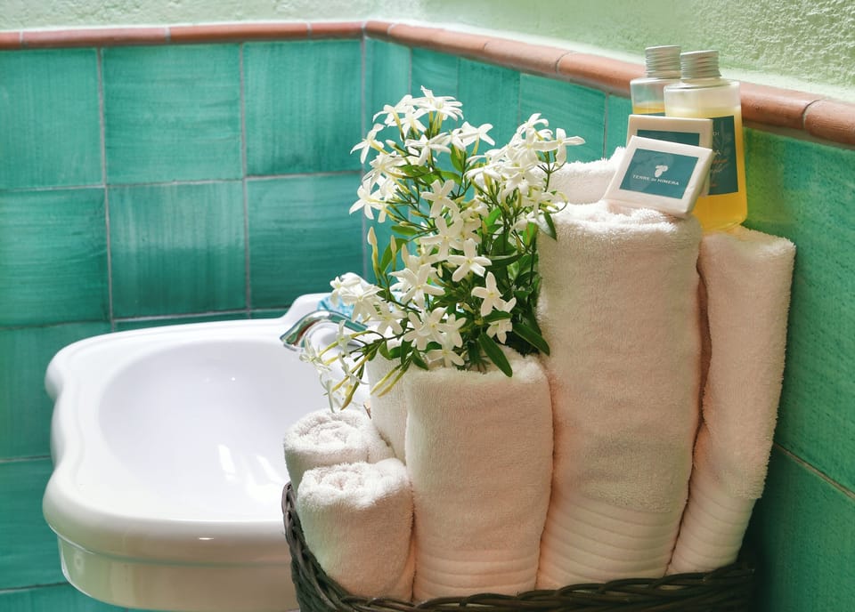 Junior Studio Suite | Bathroom | Shower, free toiletries, hair dryer, bidet