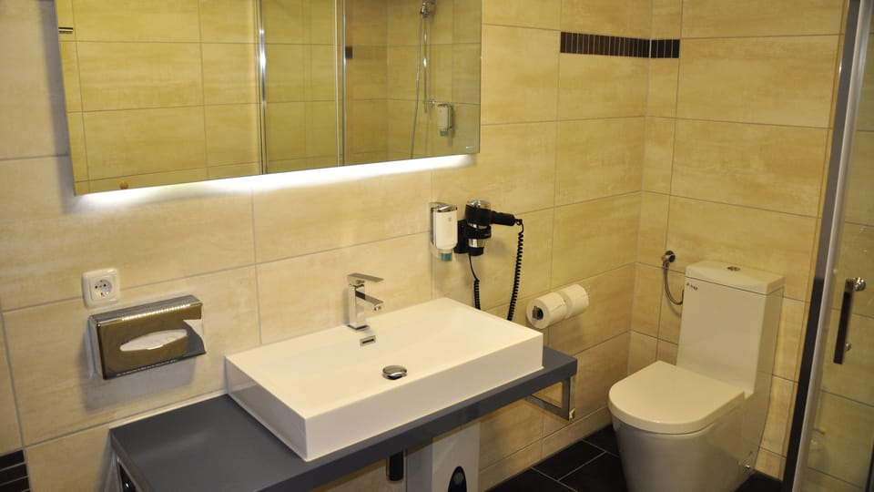 Suite | Bathroom | Shower, free toiletries, hair dryer, towels