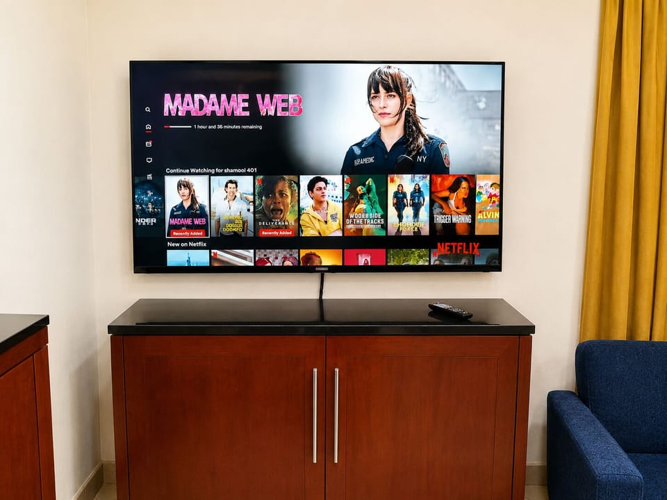 Junior Suite | Living area | 30-inch TV with cable channels