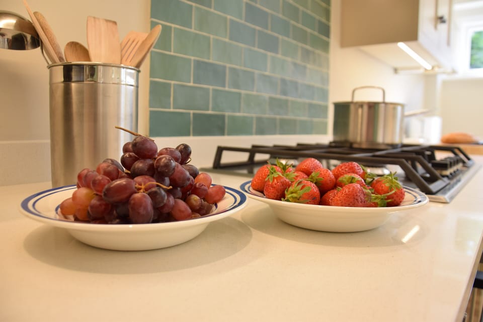 Fridge, dishwasher, cookware/dishes/utensils