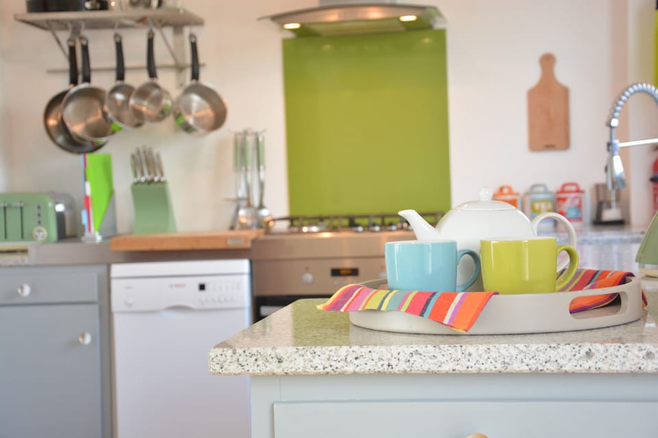 Fridge, dishwasher, cookware/dishes/utensils