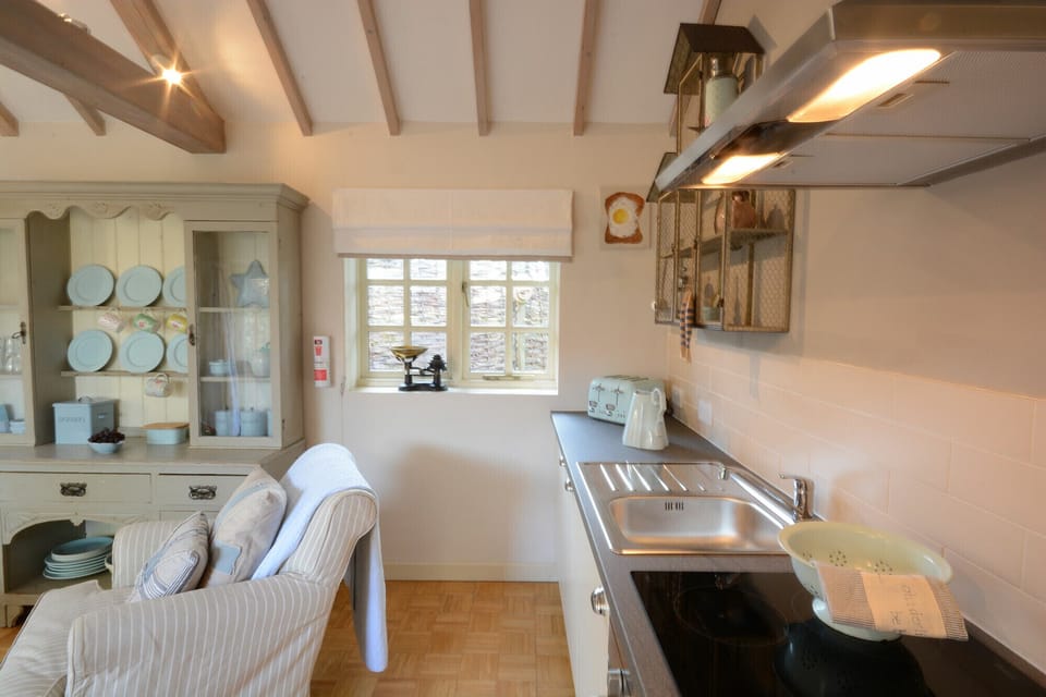 Fridge, dishwasher, cookware/dishes/utensils