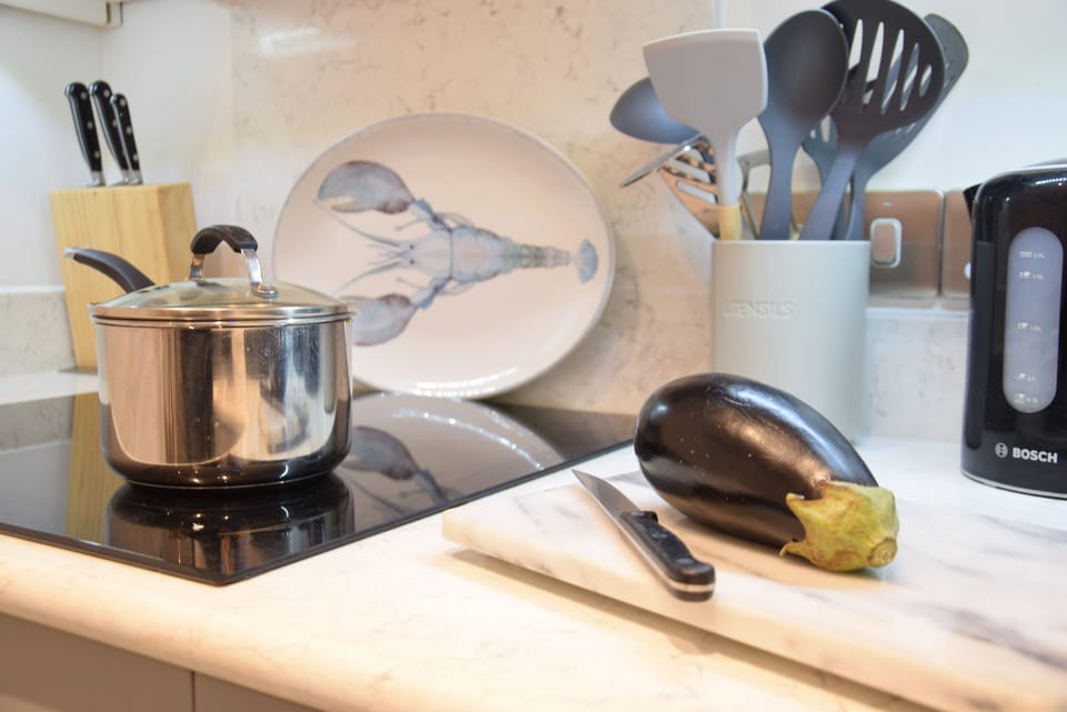 Fridge, dishwasher, cookware/dishes/utensils
