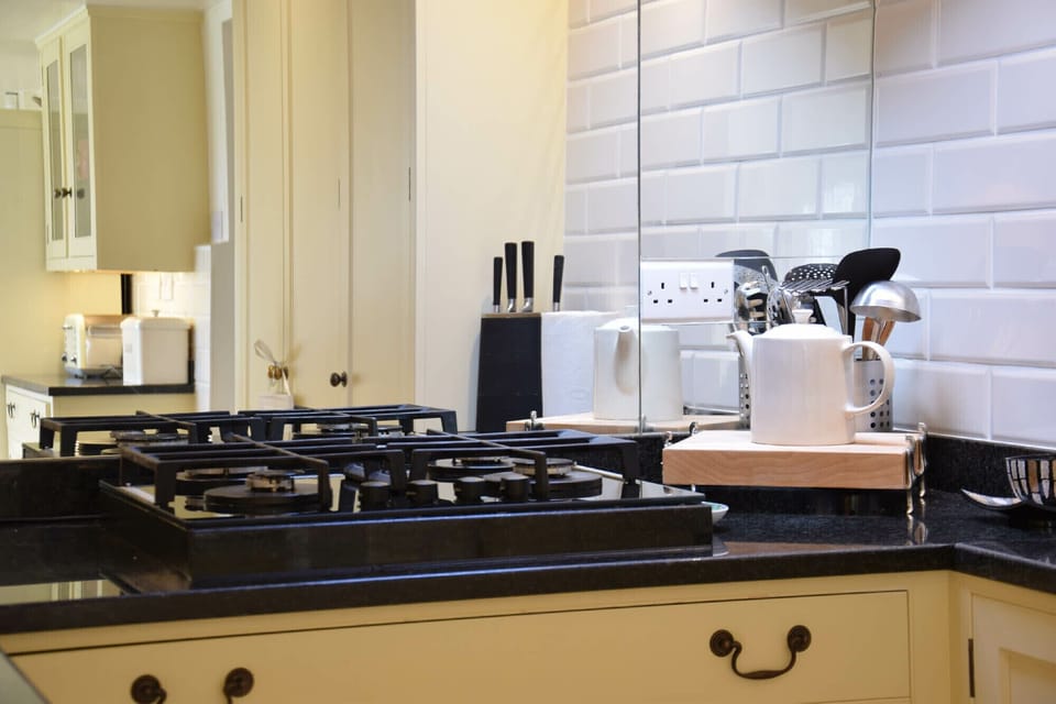 Fridge, dishwasher, cookware/dishes/utensils