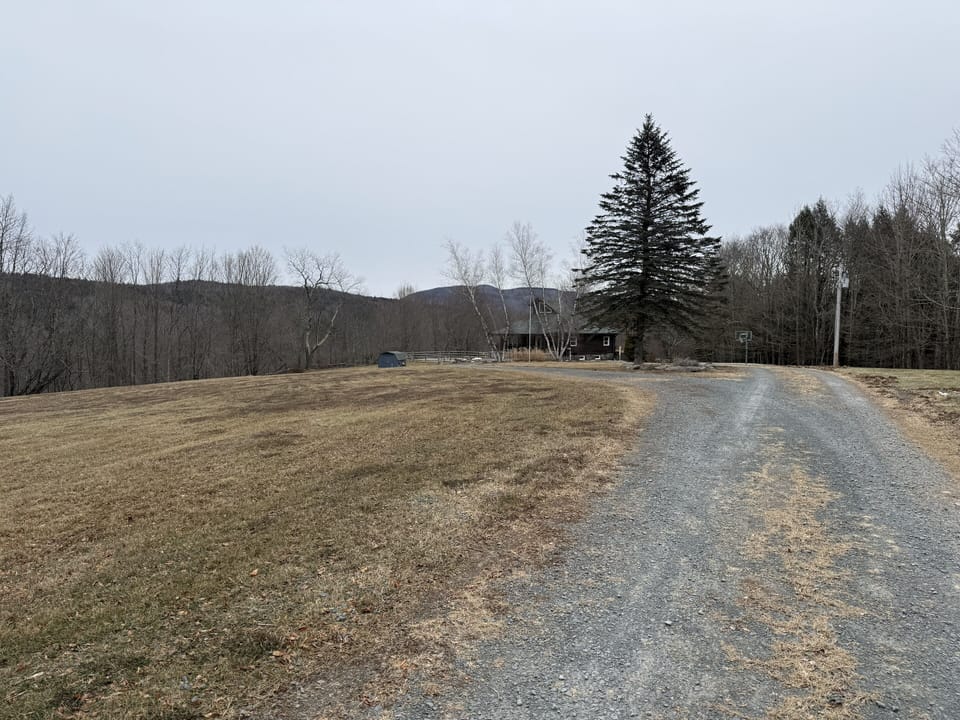 Driveway to private 10 acre oasis