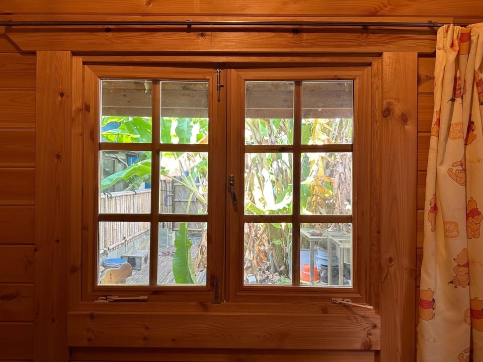 window