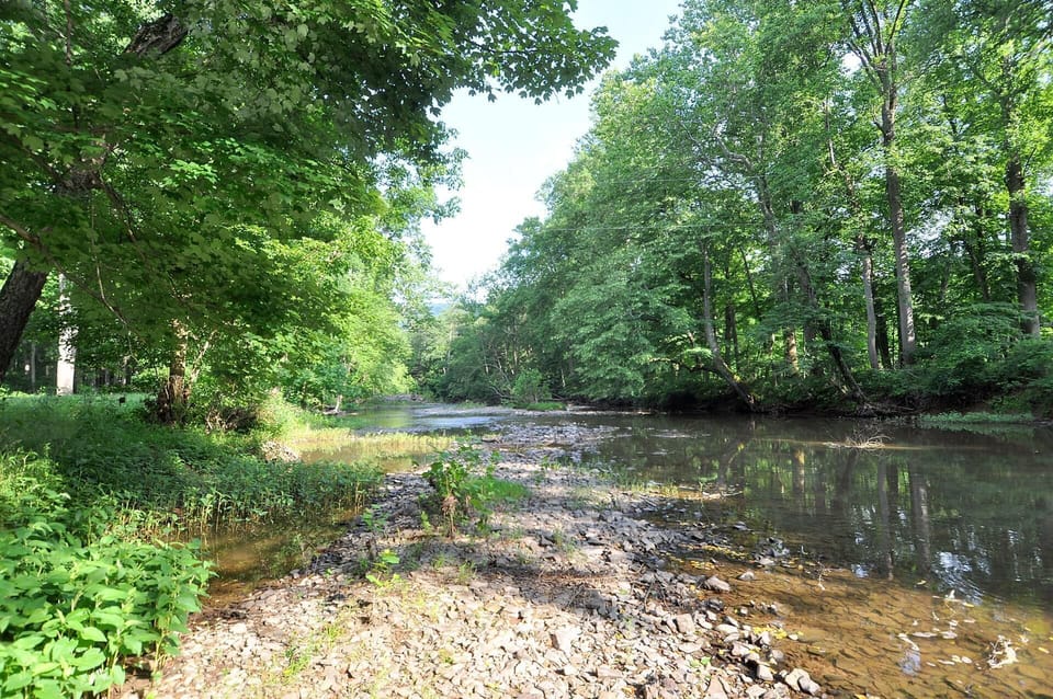 House, 2 Queen Beds (Sleepy Creek - Creekside Escape ) | Property grounds