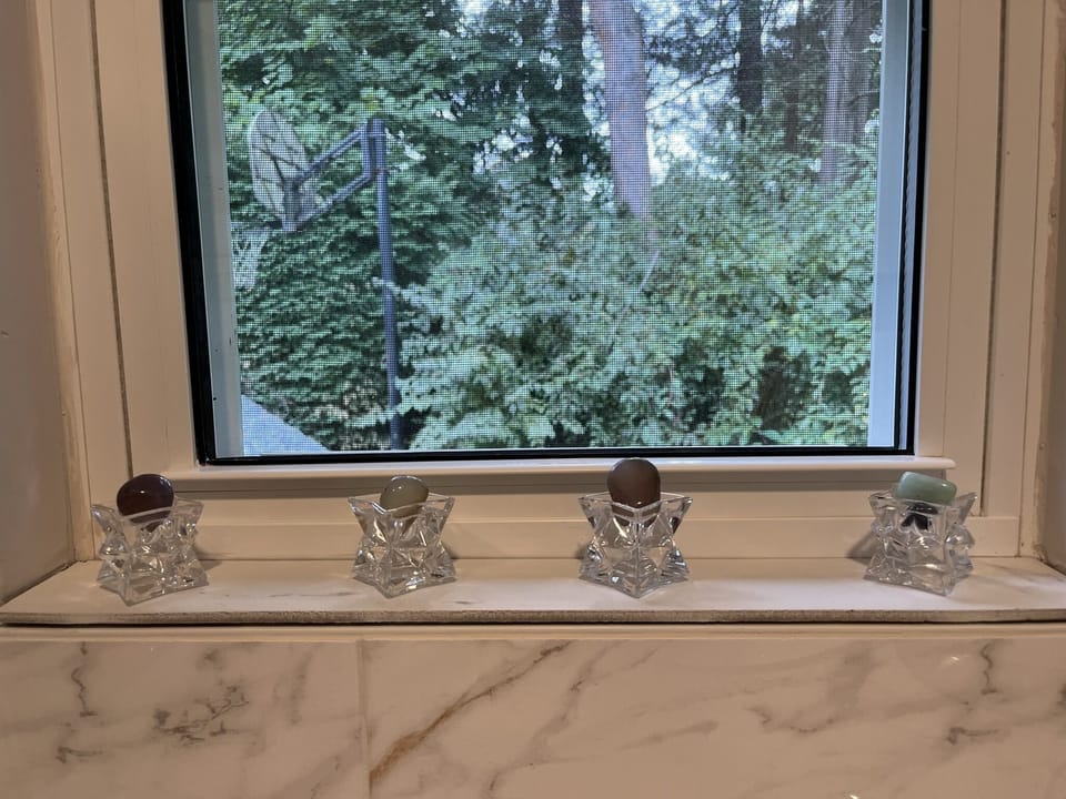 Wester side window view