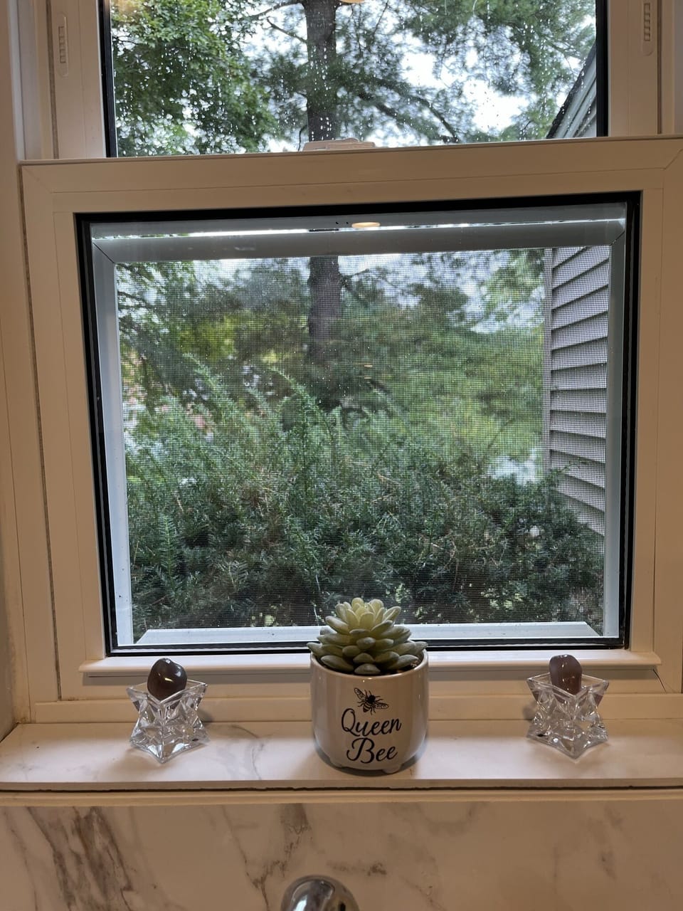 North side window view