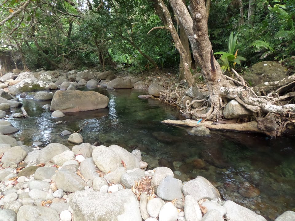 Natural pool