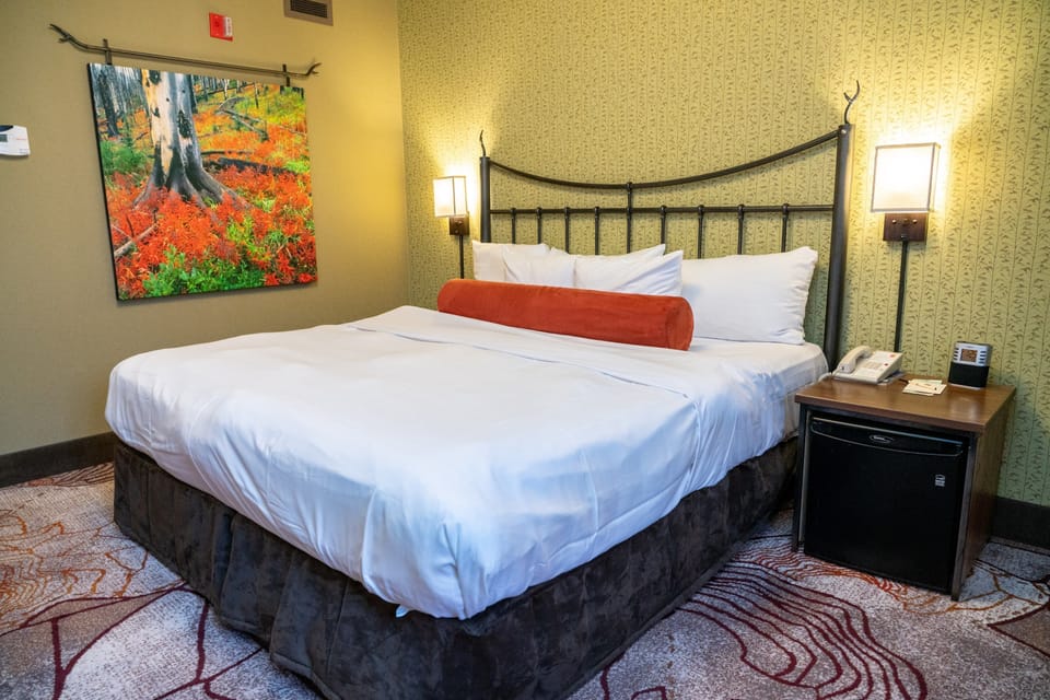 Sink into this comfortable bedding after a wonderful day.