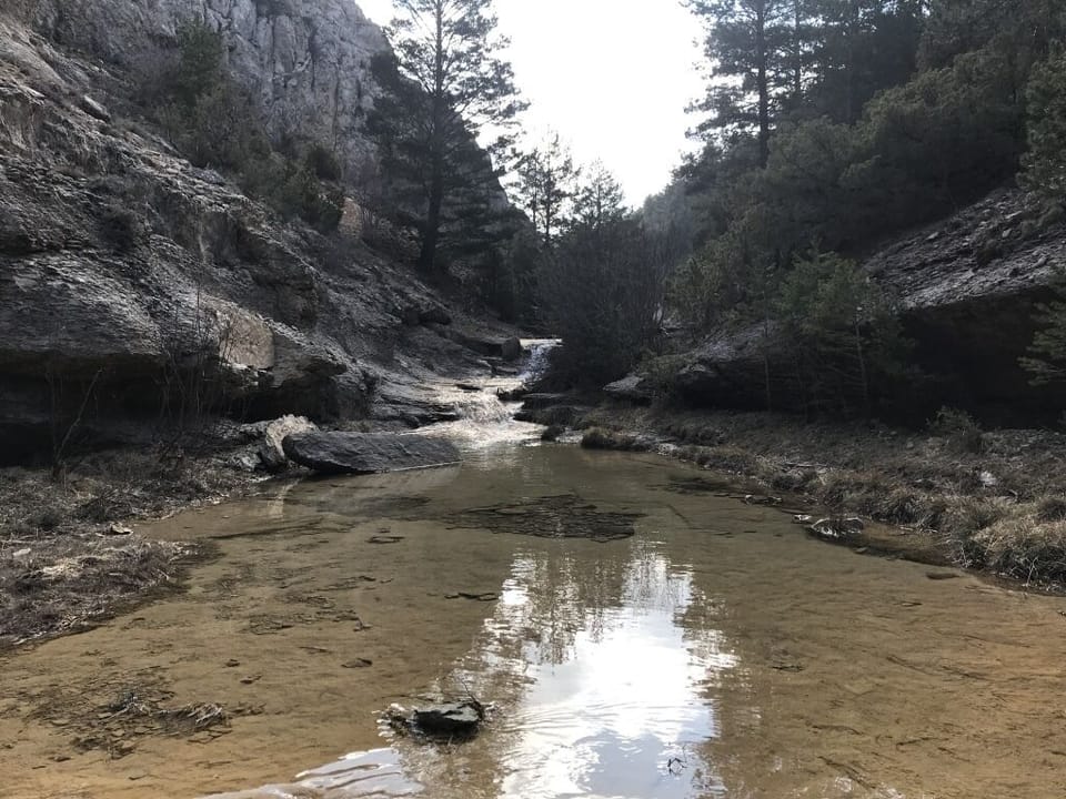 Hiking