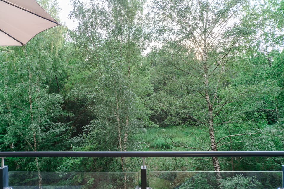 Luxury Apartment | Park view