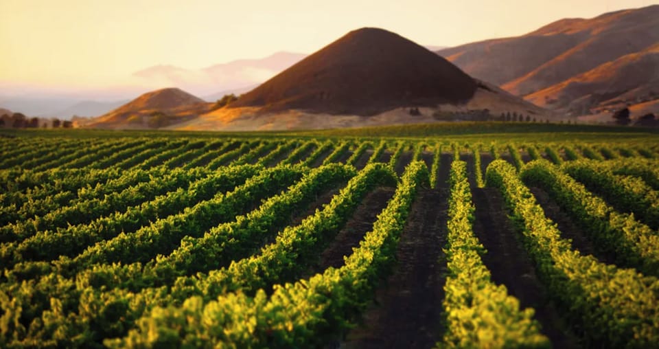 Edna valley wineries 10 mins away!