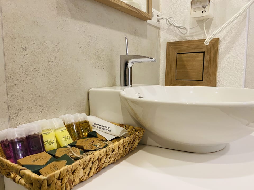 Family Suite | Bathroom | Shower, rainfall showerhead, free toiletries, hair dryer