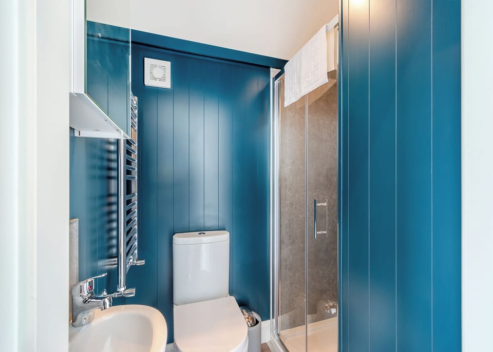 Toilet, Shower, Bathroom