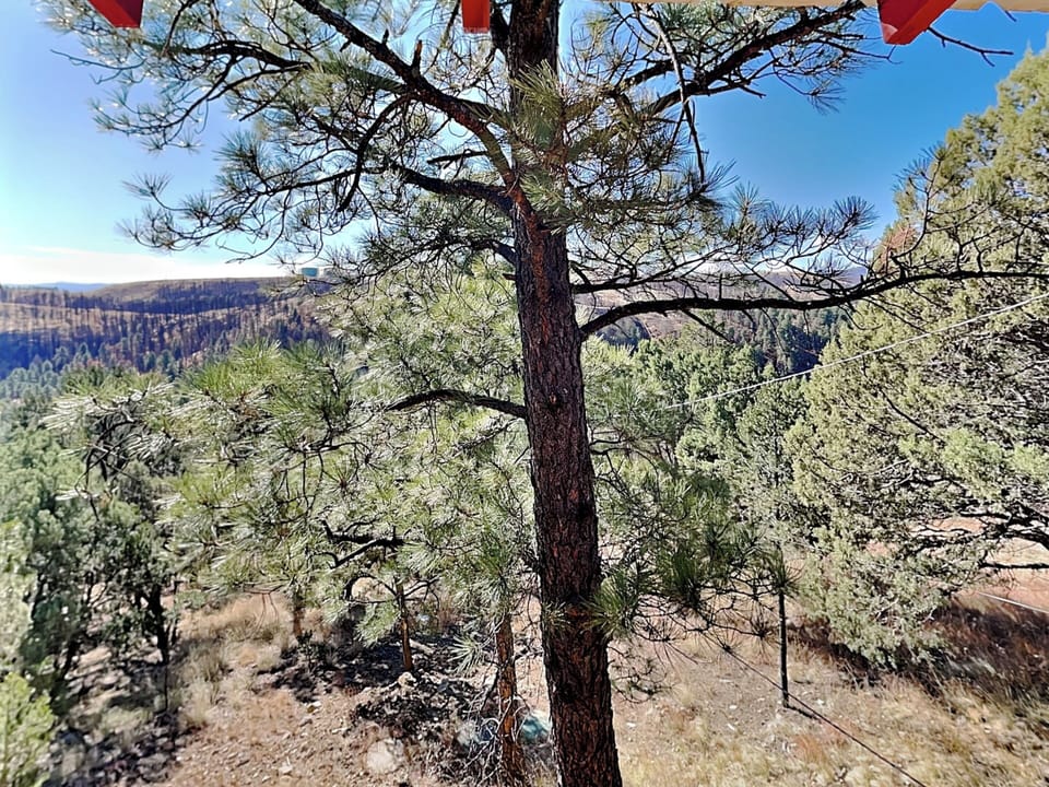 House (3 Bedrooms) | Property amenity