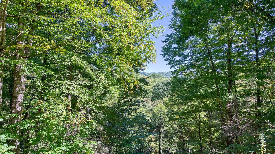 Beautiful view from the deck   