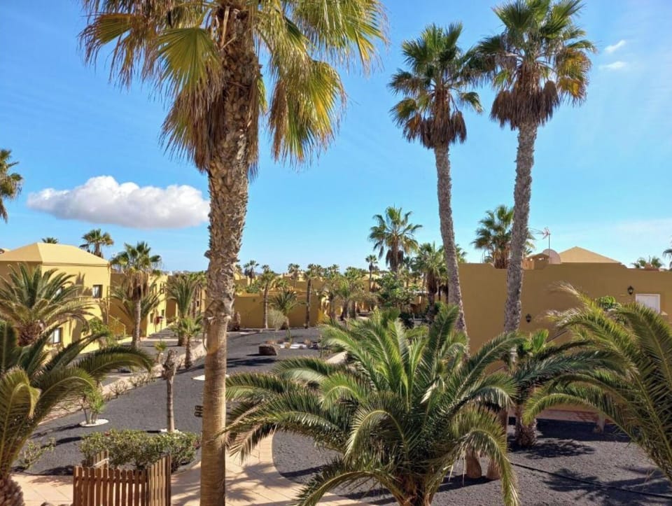 Corralejo Playa Oasis Apartments (1 Bedroom, 33) Apartment in Corralejo