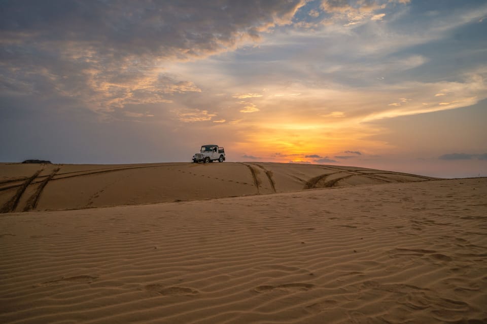 Safari