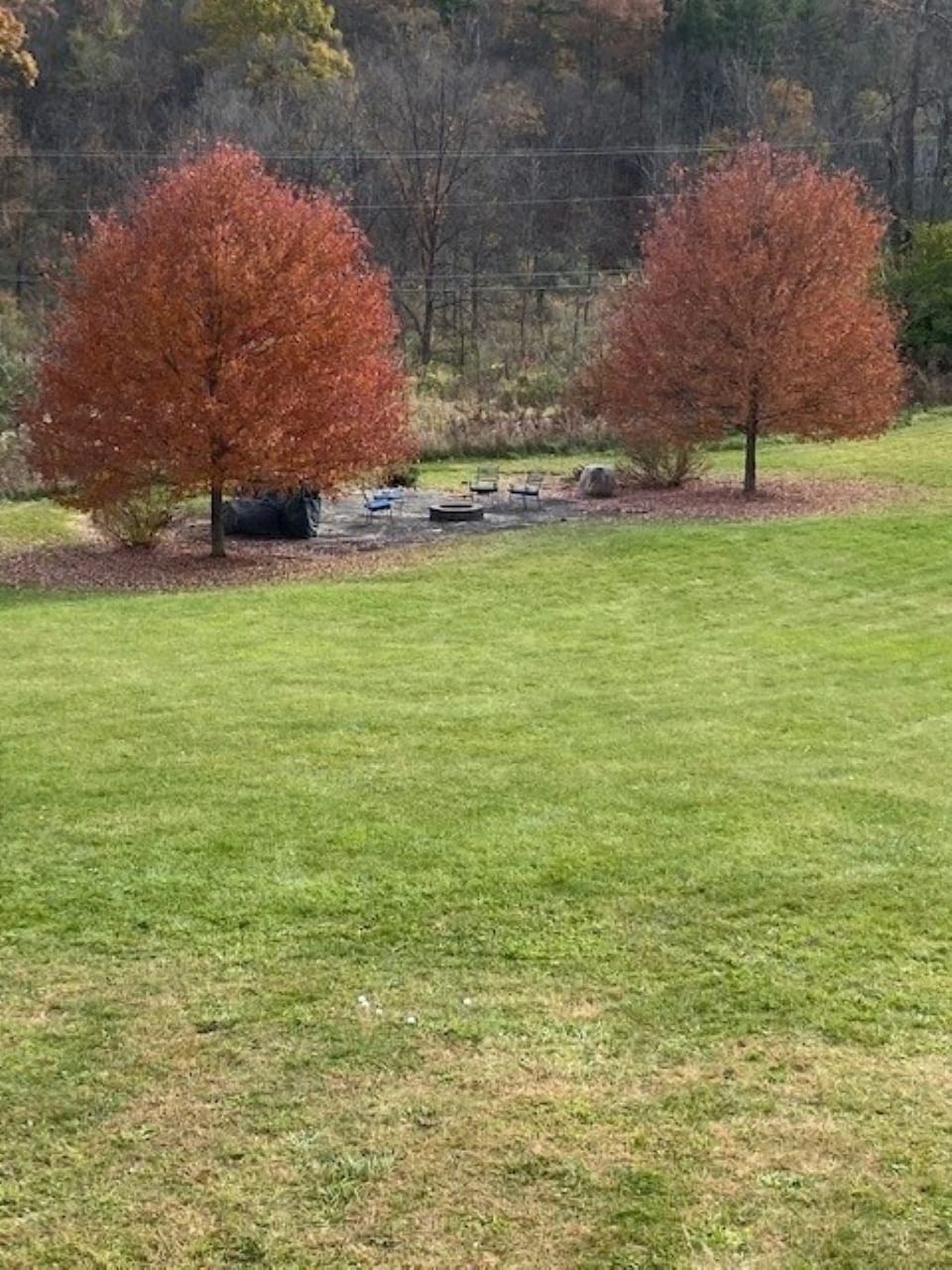 outdoor fire pit with provided firewood