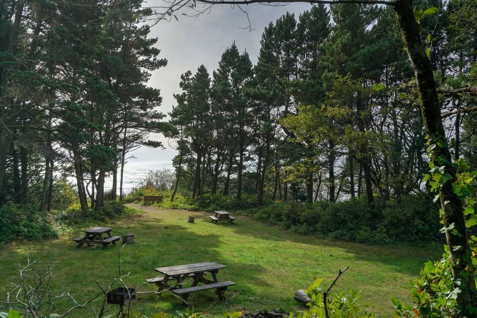 Park area with firepits, picnic tables, swings