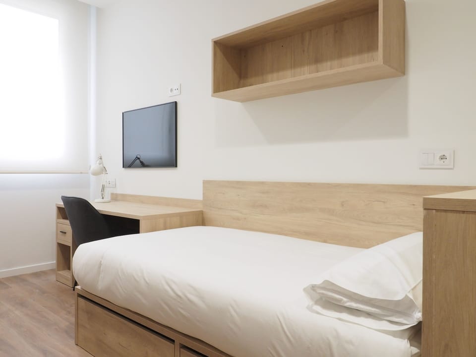 Standard Double Room | Desk, soundproofing, free WiFi, bed sheets