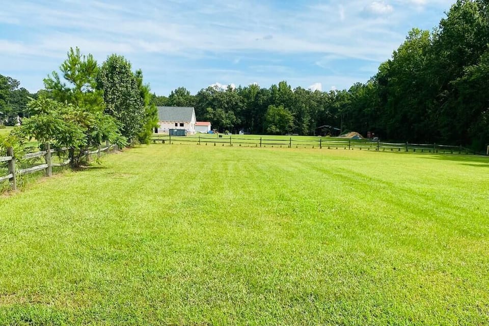 Backyard (1)