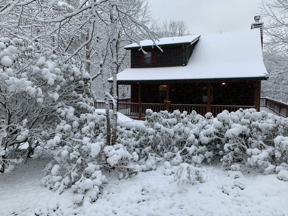Winter at Little Bear Cove