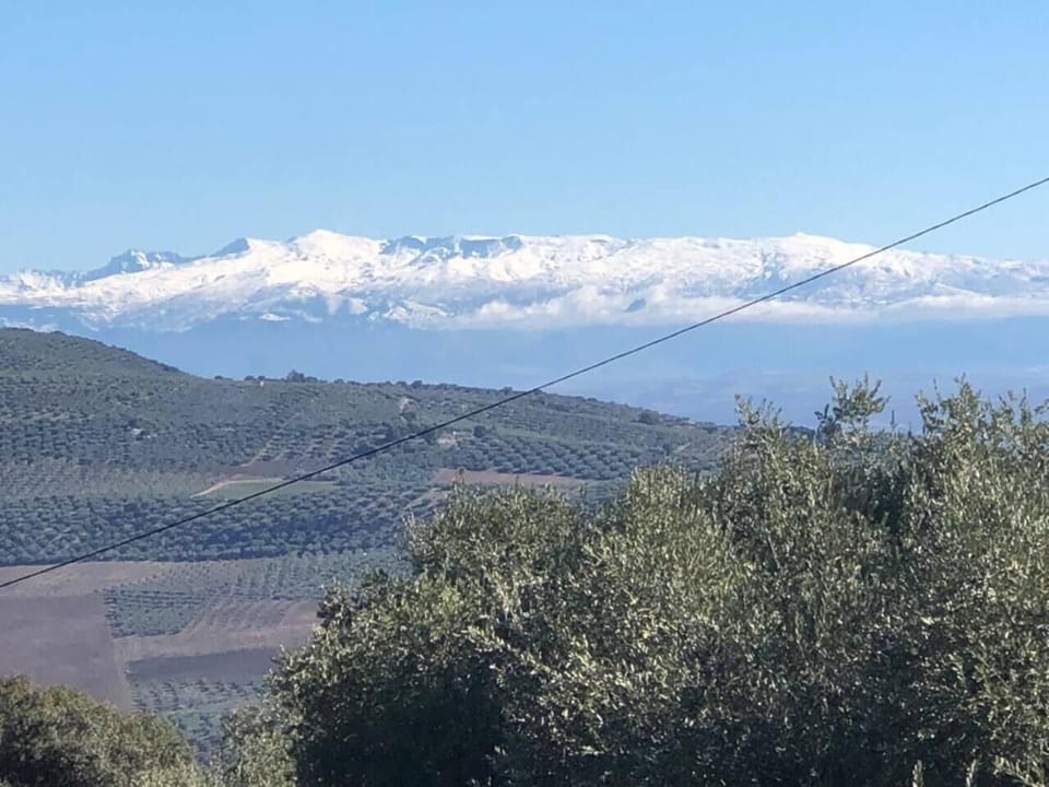 Your view from the garden, the stunning, Sierra Nevada mountains complete with snow on top. An hours drive and you could be skiing throughout December and  the early months of the year.