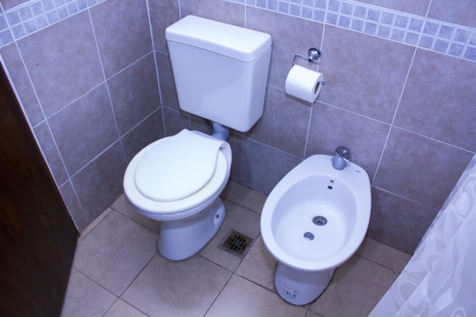 Double Room | Bathroom | Shower, free toiletries, bidet, towels