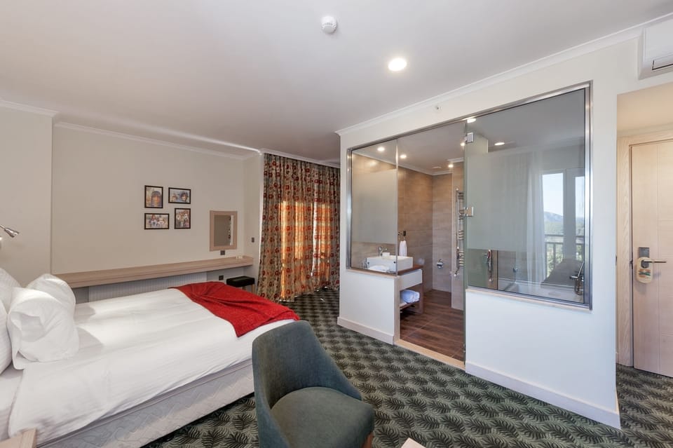 Standard Double or Twin Room, Mountain View | Minibar, in-room safe, desk, soundproofing