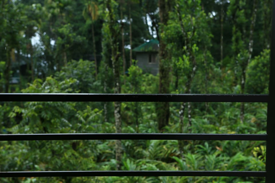 Deluxe Double Room | View from room