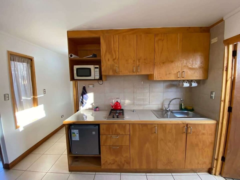 Kitchen equipped with microwave, mini refrigerator, kettle and all supplies for three guests