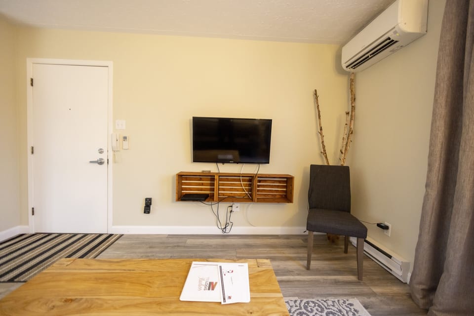 Appartement de deux chambres à coucher + divan-lit | Living area | 40-inch LED TV with cable channels, TV