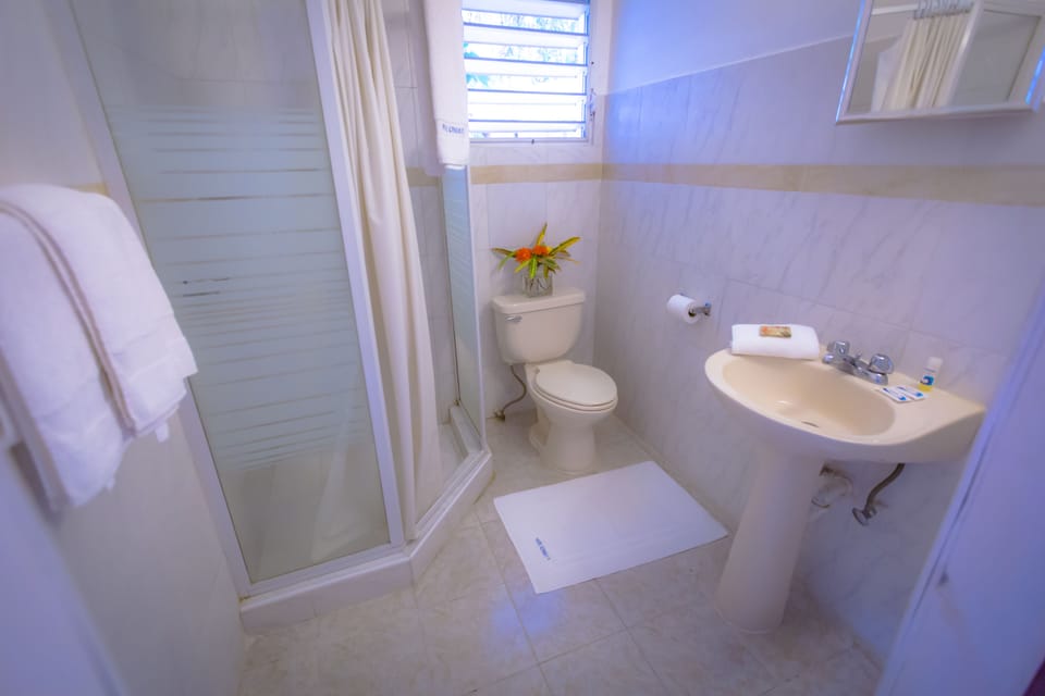 Shower, hair dryer, towels