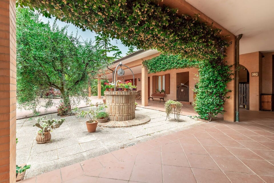 Plant, Building, Flowerpot, Houseplant, Window, Door, Wood, Architecture, Grass, Shade