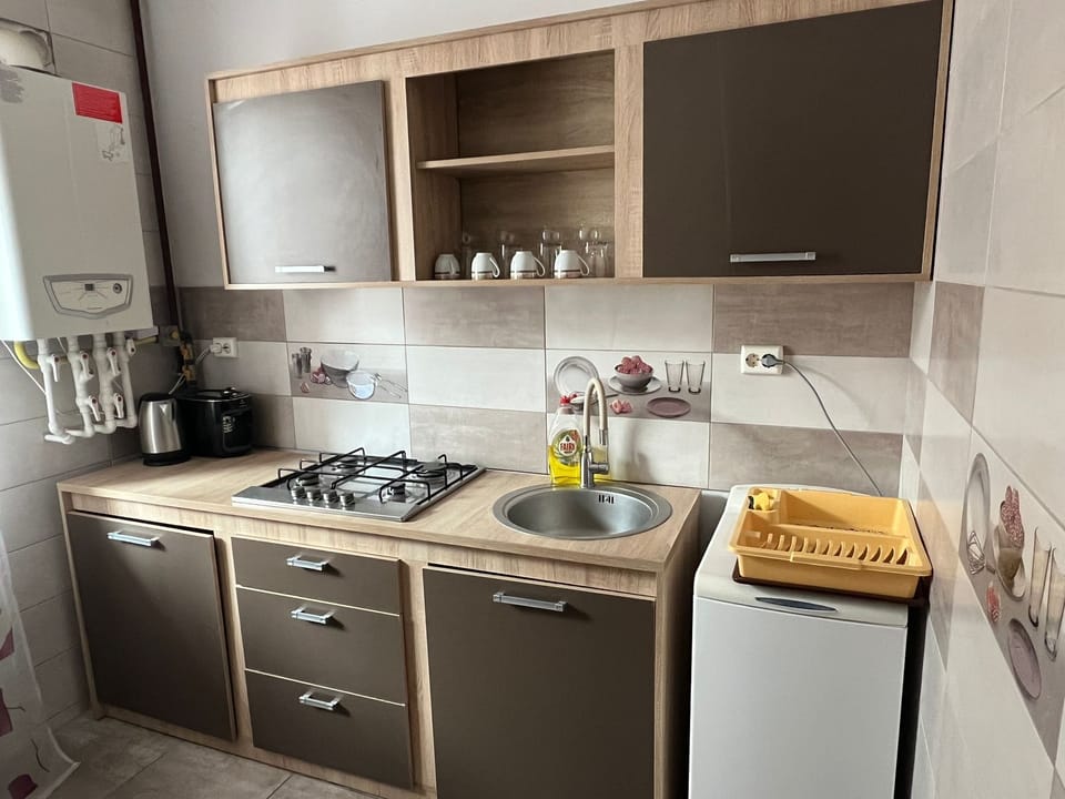 Business Apartment | Private kitchen | Full-size fridge, microwave, oven, coffee/tea maker