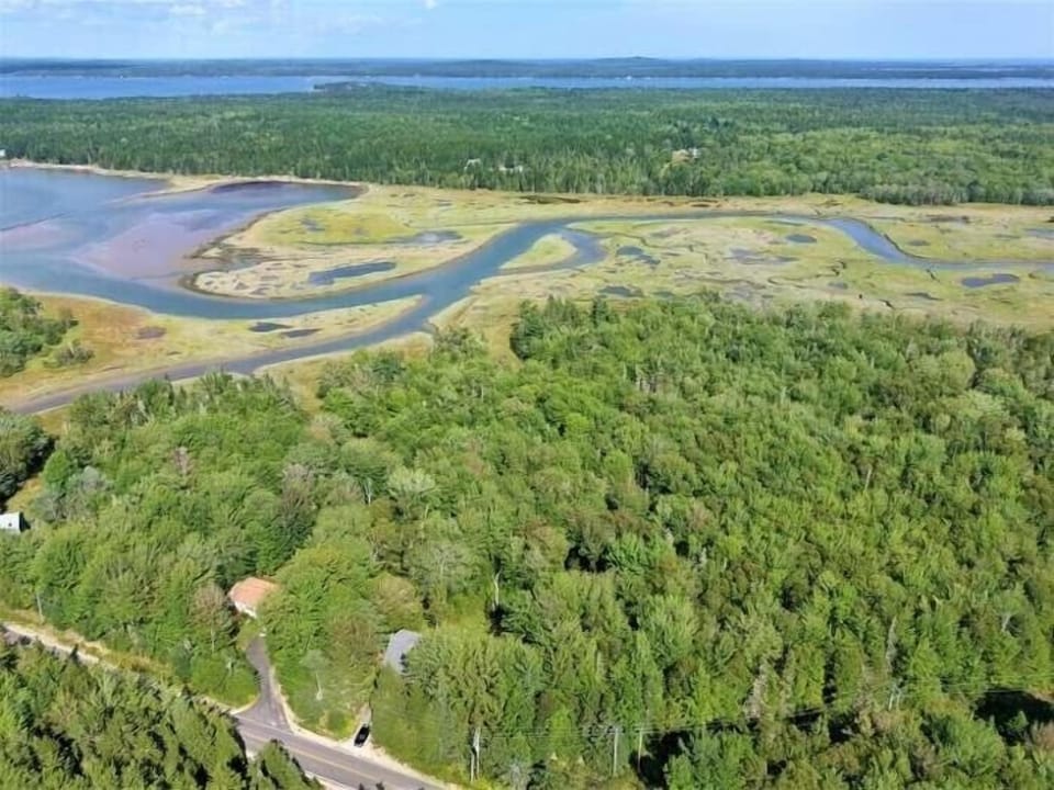 45+ acres of private land with bay water