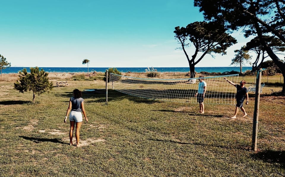 Sport court