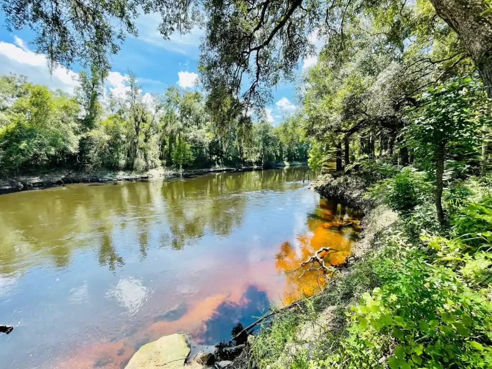 Withlacoochee river 