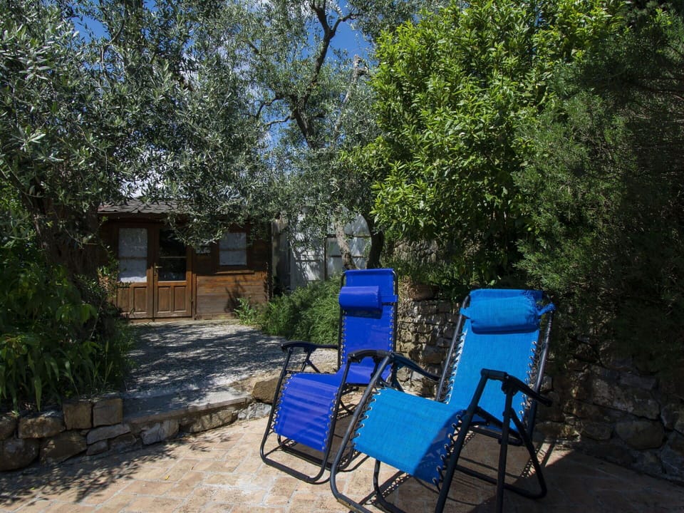 Plant, Property, Furniture, Plant Community, Window, Tree, Botany, Shade, Chair, Building