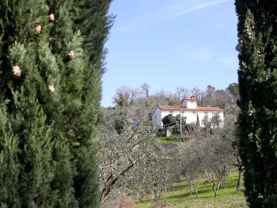 Sky, Plant, Building, Daytime, Property, Window, Tree, Architecture, Urban Design, Leisure