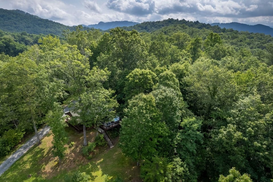 Aerial View - Aerial view of home surrounded by trees. Enjoy the peaceful seclusion in nature.