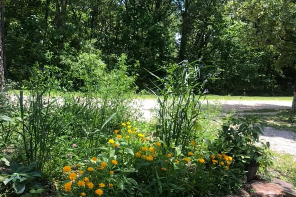 The flower garden
