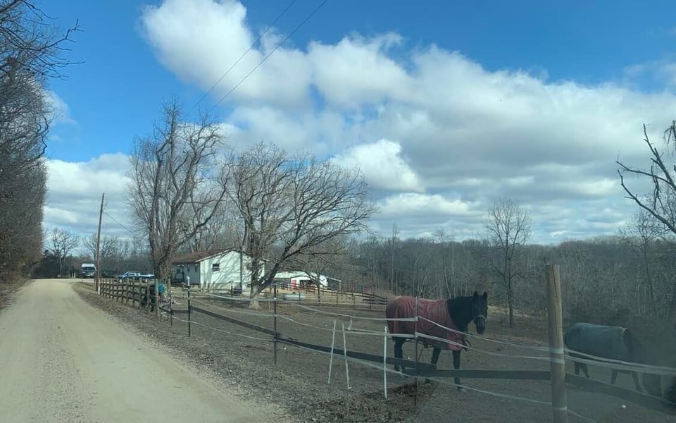 The road to the farm with a beautiful view