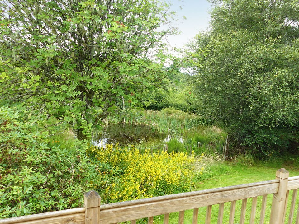 View | Bo Nan Taigh Cottage, Aberfoyle