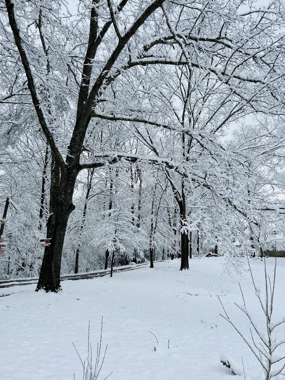 Last snow storm
